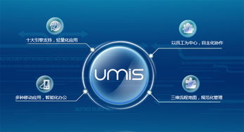 上海互聯(lián)網軟件集團 高端協(xié)同管理軟件產品和咨詢服務提供商