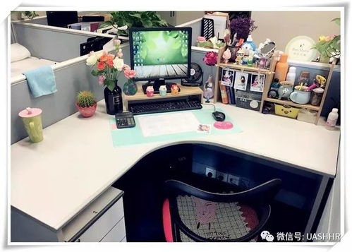 上海亞聯(lián)財 辦公桌diy設(shè)計大賽 投票評選火熱開啟啦